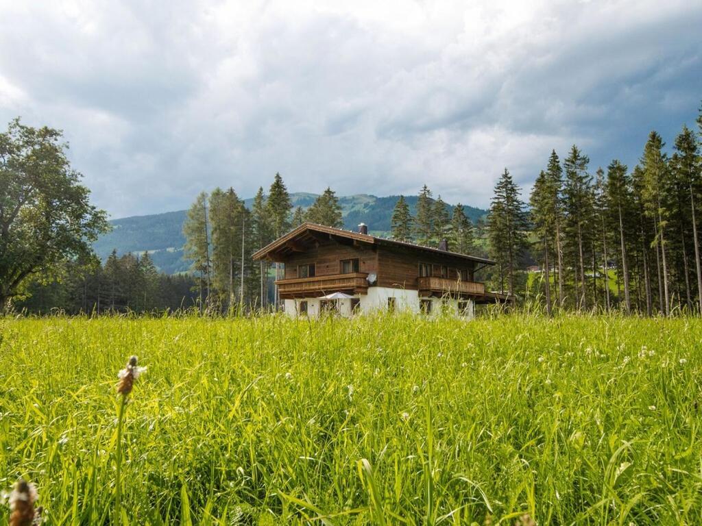 Chalet Freiblick Kleinhaid, Hollersbach ホラースバッハ・イム・ピンツガウ エクステリア 写真