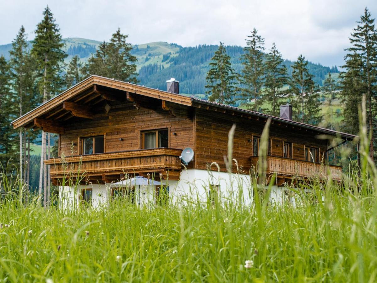 Chalet Freiblick Kleinhaid, Hollersbach ホラースバッハ・イム・ピンツガウ エクステリア 写真