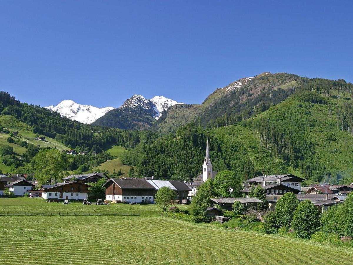 Chalet Freiblick Kleinhaid, Hollersbach ホラースバッハ・イム・ピンツガウ エクステリア 写真