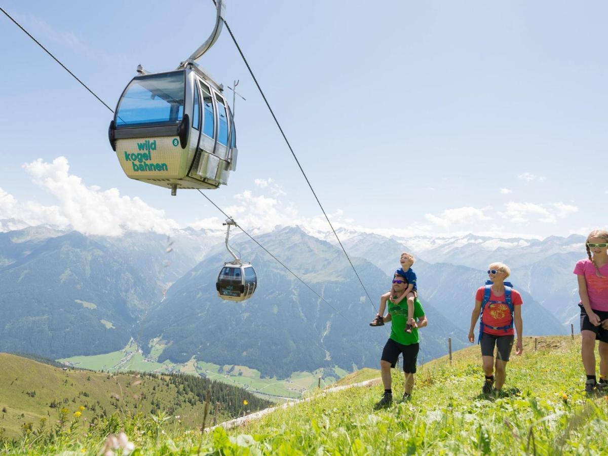 Chalet Freiblick Kleinhaid, Hollersbach ホラースバッハ・イム・ピンツガウ エクステリア 写真