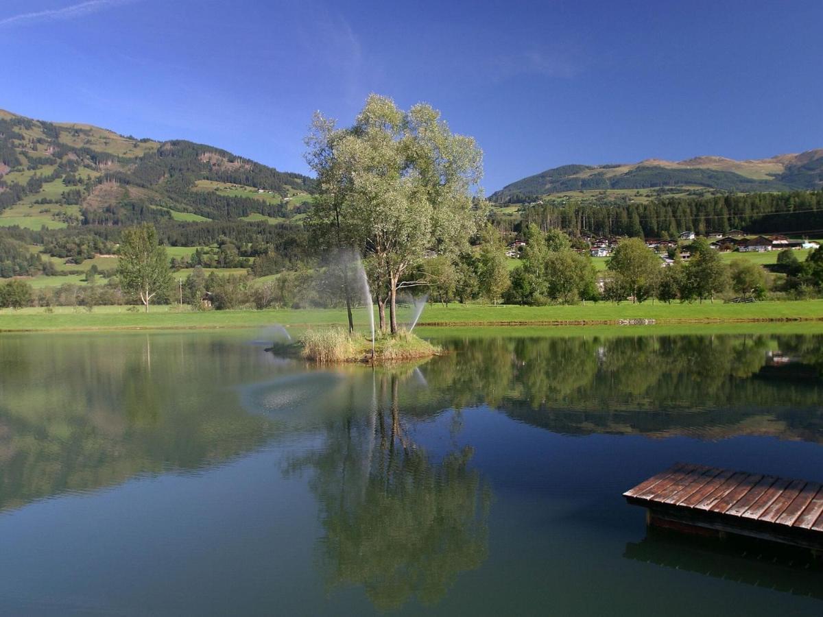 Chalet Freiblick Kleinhaid, Hollersbach ホラースバッハ・イム・ピンツガウ エクステリア 写真