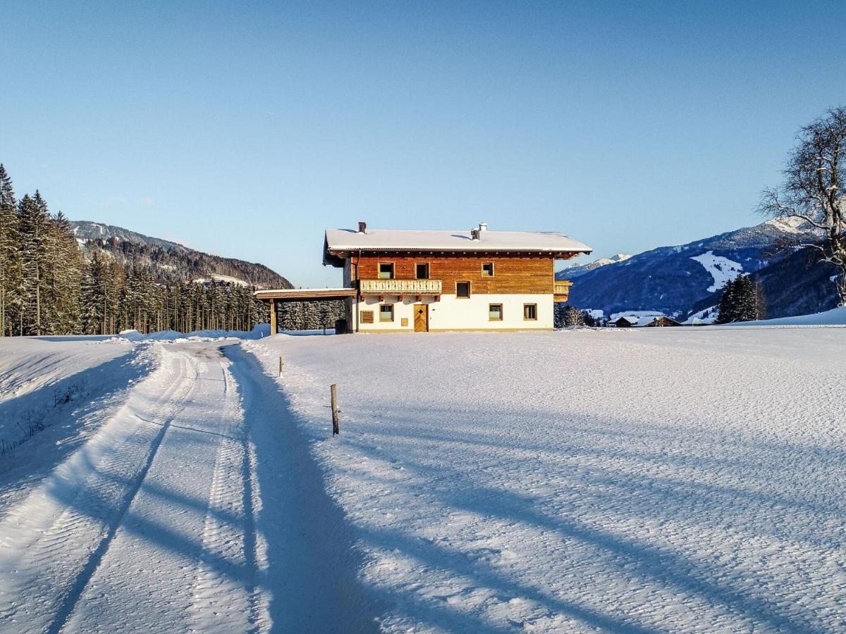 Chalet Freiblick Kleinhaid, Hollersbach ホラースバッハ・イム・ピンツガウ エクステリア 写真